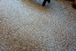 Foto 61
