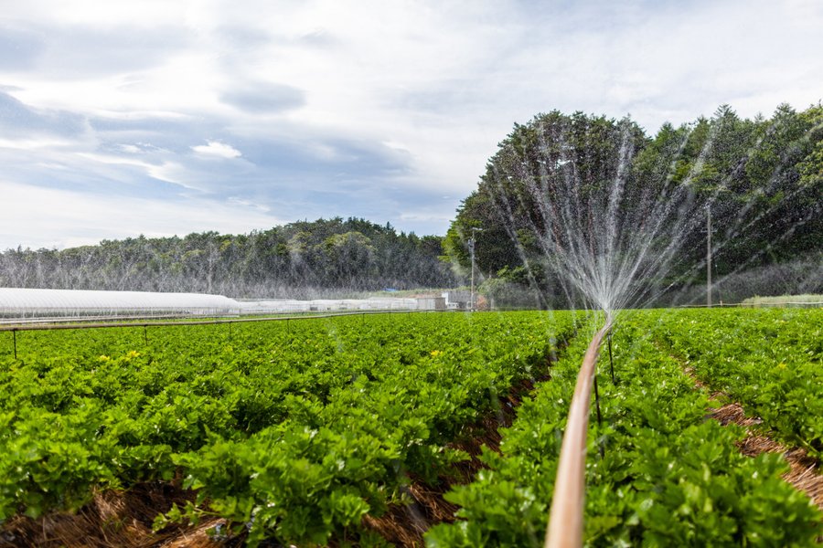 Ribeirão Preto sedia capacitação gratuita para produtores rurais com foco em sustentabilidade e preservação da água