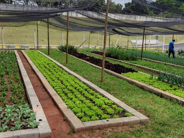 Banco de Alimentos busca novos parceiros para ampliar doações em Ribeirão Preto